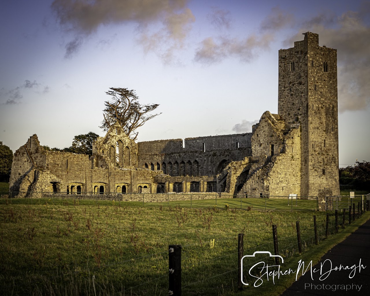 Ardfert Friary