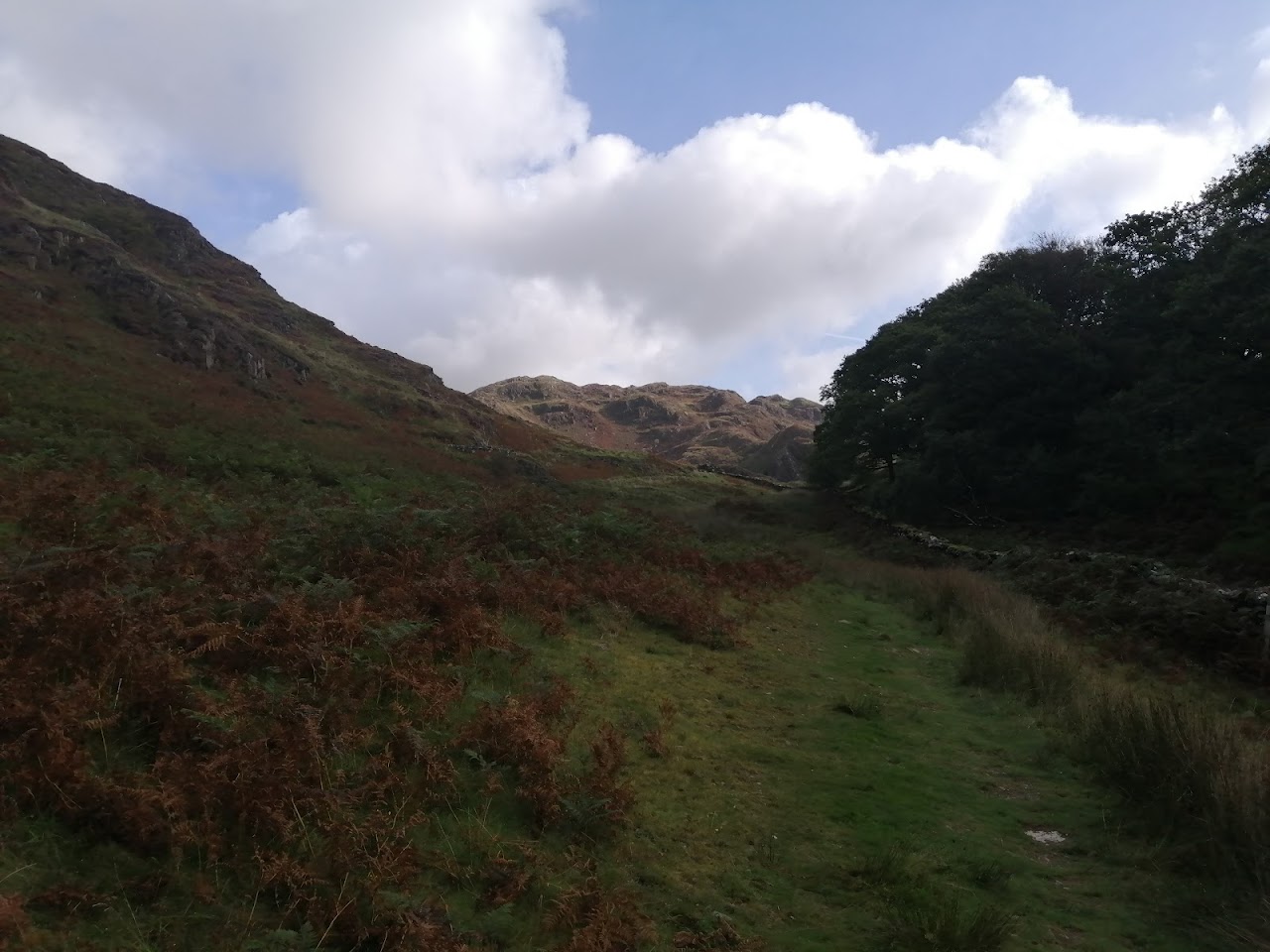 Beddgelert Dinas Emrys Walk