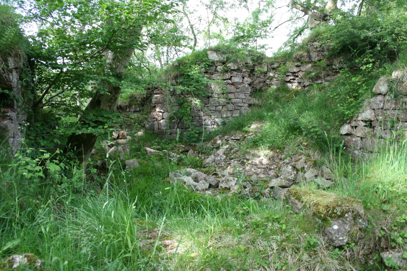 Castell Morgraig