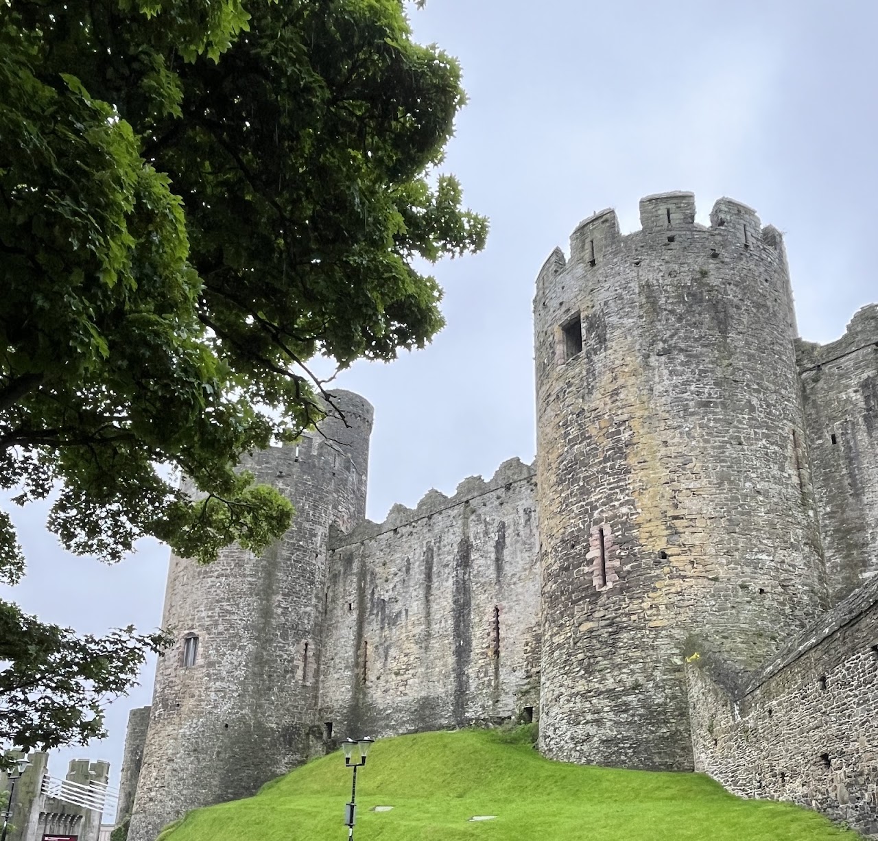 Conwy Castle