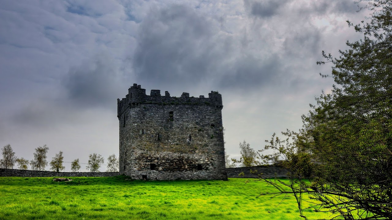 Dunlavin Castle