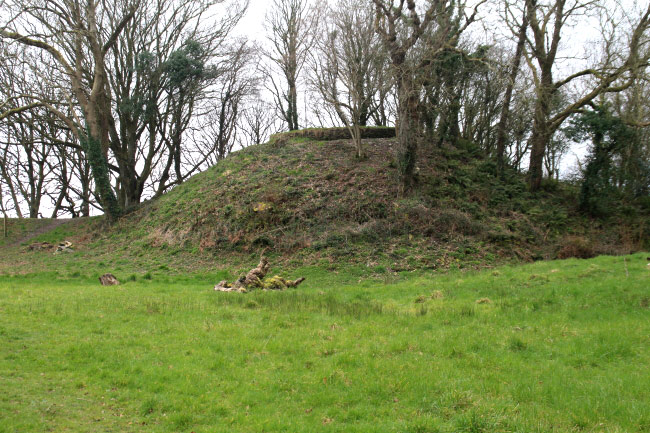 Newport Castle (Pembs Main)