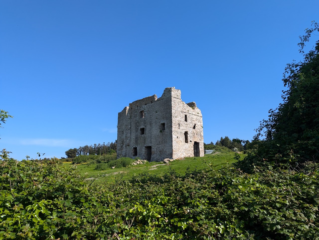 Puck Castle