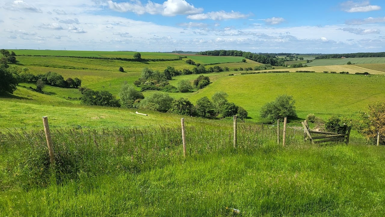 Towton Battlefield